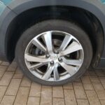 WhatsApp-Image-2026-02-15-at-10.14.40-1